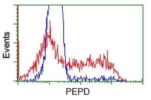 Flow Cytometry PEPD Antibody (OTI1B7)