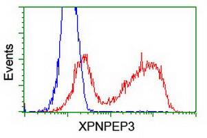 HEK293T cells transfected with either overexpress plasmid (Red) or empty vector control plasmid (Blue) were immunostained by anti-XPNPEP3 antibody , and then analyzed by flow cytometry.