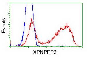 HEK293T cells transfected with either overexpress plasmid (Red) or empty vector control plasmid (Blue) were immunostained by anti-XPNPEP3 antibody , and then analyzed by flow cytometry.