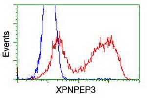 HEK293T cells transfected with either overexpress plasmid (Red) or empty vector control plasmid (Blue) were immunostained by anti-XPNPEP3 antibody , and then analyzed by flow cytometry.