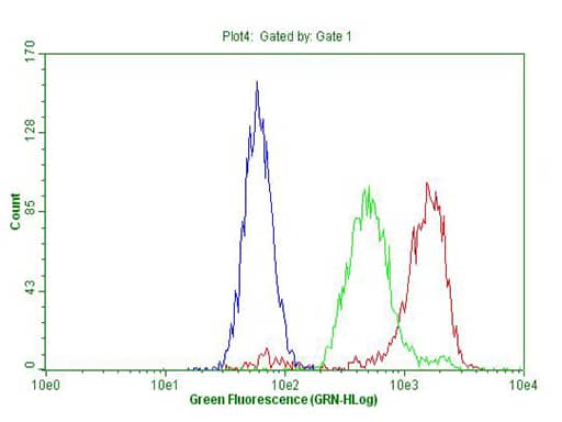 Flow cytometric Analysis of permeabilized K562 cells, using anti-MEIS1 antibody , compared to an IgG isotype control (green), and negative control (PBS, Blue) (1:100).
