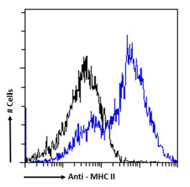 Flow Cytometry: MHC Class II Antibody (A6-61.3) - BSA Free [NBP3-45120] - Paraformaldehyde fixed mouse splenocytes were stained with anti-unknown specificity antibody ( isotype control, black line) or NBP3-45120 (blue line) at a dilution of 1:100 for 1h at RT. After washing, the bound antibody was detected using a goat anti-rabbit IgG AlexaFluor® 488 antibody at a dilution of 1:1000 and cells analyzed using a FACSCanto flow-cytometer.