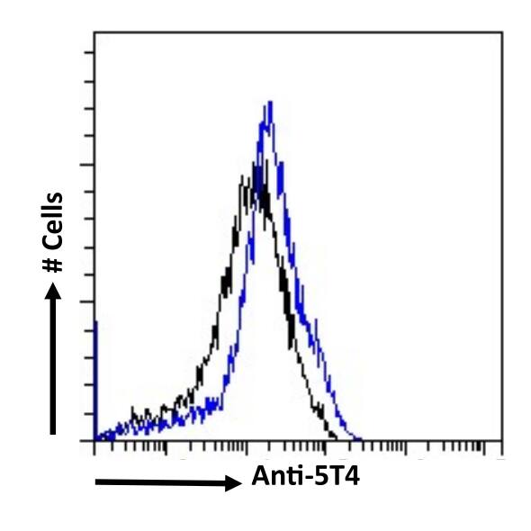 Flow Cytometry: 5T4 Antibody (39A11G5F2) - Chimeric - BSA Free [NBP3-45123] - Paraformaldehyde-fixed MCF-7 cells permeabilized with 0.5% Triton were stained with the anti-unknown specificity antibody (isotype control, black line) or NBP3-45123 (blue line) at a dilution of 1:100 for 1 h at RT. After washing, the bound antibody was detected using a goat anti-rabbit IgG AlexaFluor® 488 antibody at a dilution of 1:1000, and the cells were analyzed using a FACSCanto flow-cytometer.