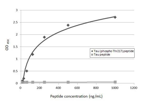 ELISA: Rabbit Tau [p Thr217] mAb (HL1276) [NBP3-45156] - Indirect ELISA analysis was performed by coating the plate with Tau peptide and Tau (p Thr217) peptide (1000-15.63 ng/mL). Coated peptides were probed with Tau (p Thr217) antibody [HL1276]  (1 ug/mL). Goat anti-rabbit IgG antibody (HRP) (1:10000) was used to detect the bound primary antibody.
