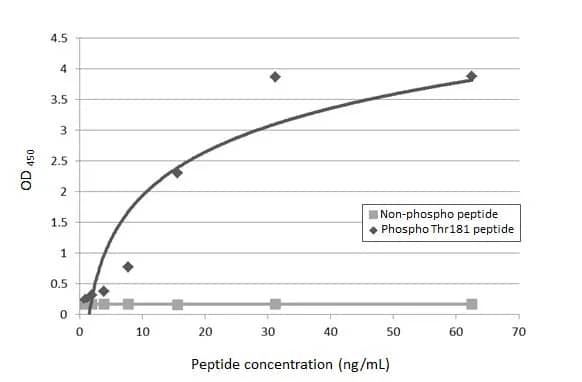 ELISA: Rabbit Tau [p Thr181] mAb (HL2497) - Sandwich ELISA detection of Tau peptide and Tau (p Thr181) peptide using antibodies as below.Capture: Tau (phospho Thr181) antibody [HL2497] (NBP3-45157) (5 ug/mL)Detection: HRP-conjugated Tau (p Thr181) antibody [HL2498] (NBP3-45158) (1 ug/mL)Please notice that NBP3-45158 needs to be conjugated to HRP to function as the detection antibody when paired with NBP3-45157. Please contact us for custom HRP-conjugated antibody.