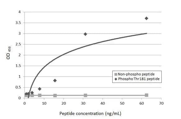 ELISA: Rabbit Tau [p Thr181] mAb (HL2497) - Sandwich ELISA detection of Tau peptide and Tau (p Thr181) peptide using antibodies as below.Capture: Tau (p Thr181) antibody [HL2498] (NBP3-45158) (5 ug/mL)Detection: HRP-conjugated Tau (p  Thr181) antibody [HL2497] (NBP3-45157) (1 ug/mL)Please notice that NBP3-45157 needs to be conjugated to HRP to function as the detection antibody when paired with NBP3-45158.