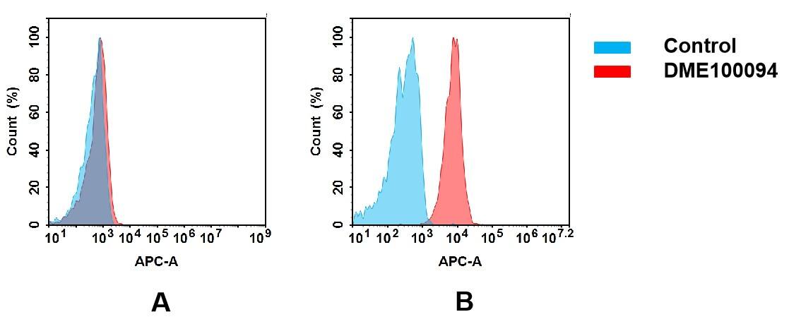 Flow cytometry analysis of antigen binding of rabbit anti-human BTN3A1 mAb(NBP3-48285). (A) NBP3-48285 does not bind to MCF-7 cells that do not express BTN3A1. (B) A clear peak shift of NBP3-48285 was seen compared to the control when incubated with BTN3A1-expressing 8226 cells, indicating strong binding of NBP3-48285 to BTN3A1. Antibodies were incubated at 2 ug/mL.