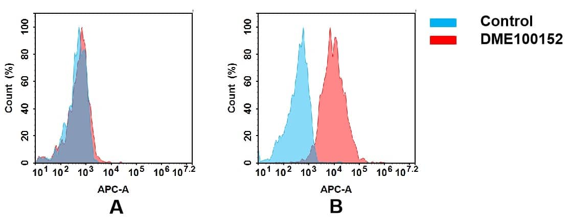 Flow cytometry analysis of antigen binding of rabbit anti-human IL6R mAb(NBP3-48288). (A) NBP3-48288 does not bind to CHO-S cells that do not express IL6R. (B) A clear peak shift of NBP3-48288 was seen compared to the control when incubated with IL6R-expressing THP-1 cells, indicating strong binding of NBP3-48288 to IL6R. Antibodies were incubated at 5 ug/mL.