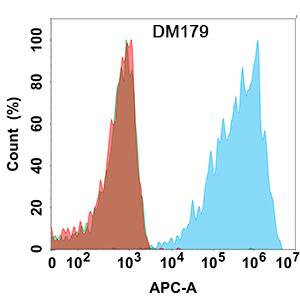 Flow cytometry analysis with Anti-Claudin-18 (DM179) on HEK293 cells transfected with human Claudin-18 (Blue histogram)or HEK293 transfected with human CLDN18.1 (Green histogram)or HEK293 transfected with irrelevant protein (Red histogram).