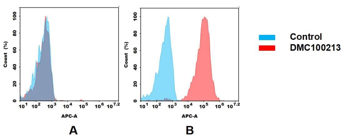 Flow cytometry analysis of antigen binding of anti-human CD24 mAb(NBP3-48290). (A) NBP3-48290 does not bind to Jurkat cells that do not express CD24. (B) A clear peak shift of NBP3-48290 was seen compared to the control when incubated with CD24-expressing MCF-7 cells, indicating strong binding of NBP3-48290 to CD24. Antibodies were incubated at 10 ug/mL.