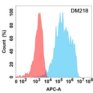 Flow cytometry analysis with Anti-IL18R1 (DM218) on HEK293 cells transfected with human IL18R1 (Blue histogram) or HEK293 transfected with irrelevant protein (Red histogram).