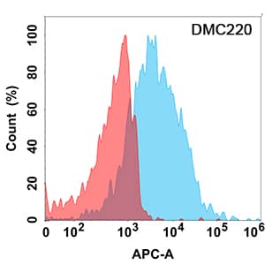 Flow cytometry analysis with Anti-FCRL5/FcRH5/IRTA2/FcRH5/IRTA2 (DMC220) on HEK293 cells transfected with human FCRL5/FcRH5/IRTA2/FcRH5/IRTA2 (Blue histogram) or HEK293 transfected with irrelevant protein (Red histogram).