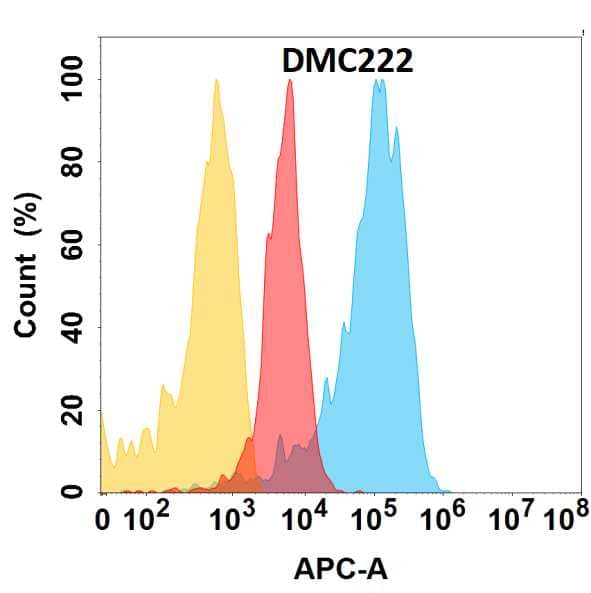 Flow cytometry analysis with Anti-Proprotein Convertase 9/Proprotein Convertase 9/PCSK9 (DMC222) on HEK293 cells transfected with human Proprotein Convertase 9/Proprotein Convertase 9/PCSK9 (Blue histogram) or HEK293 transfected with irrelevant protein (Red histogram), and Isotype antibody on HEK293 transfected with irrelevant protein (Orange histogram).