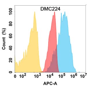 Nectin-2/Nectin-2/CD112 protein is highly expressed on the surface of HEK293 cell membrane. Flow cytometry analysis with Anti-Nectin-2/Nectin-2/CD112 (DMC224) on HEK293 cells transfected with human Nectin-2/Nectin-2/CD112 (Blue histogram) or HEK293 transfected with irrelevant protein (Red histogram), and Isotype antibody on HEK293 transfected with irrelevant protein (Orange histogram).