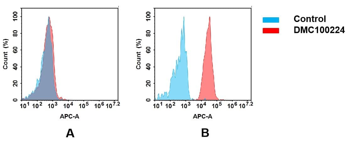 Flow cytometry analysis of antigen binding of anti-human CD112 mAb(NBP3-48298). (A) NBP3-48298 does not bind to MM.1S cells that do not express CD112. (B) A clear peak shift of NBP3-48298 was seen compared to the control when incubated with CD112-expressing Huh7 cells, indicating strong binding of NBP3-48298 to CD112. Antibodies were incubated at 5 ug/mL.