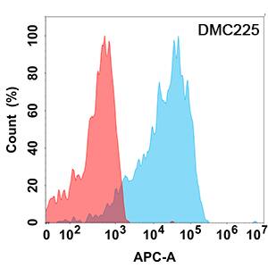 Flow cytometry analysis with Anti-IL-21R (DMC225) on HEK293 cells transfected with human IL-21R (Blue histogram) or HEK293 transfected with irrelevant protein (Red histogram).