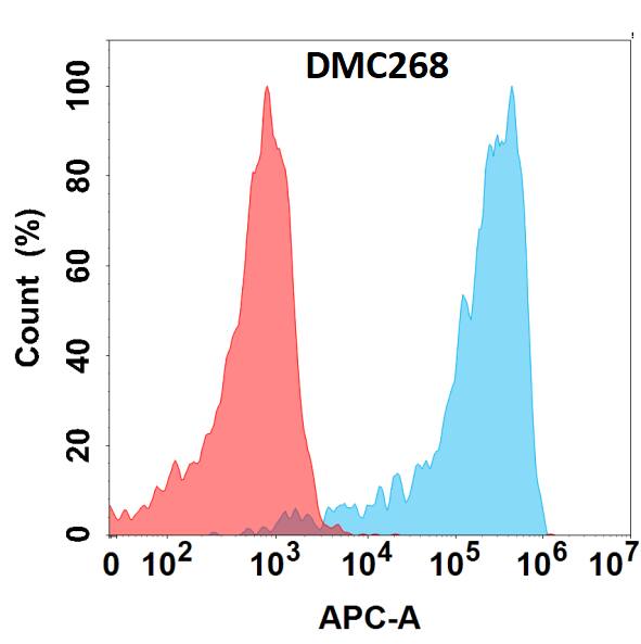 Flow cytometry analysis with Anti-VSIG4 (DMC268) on HEK293 cells transfected with human VSIG4 (Blue histogram) or HEK293 transfected with irrelevant protein (Red histogram).