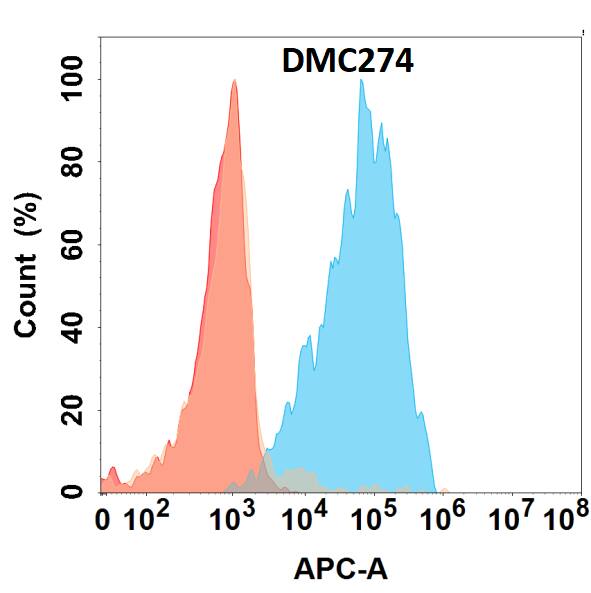Flow cytometry analysis with Anti-IL-5 (DMC274) on HEK293 cells transfected with human IL-5 (Blue histogram) or HEK293 transfected with irrelevant protein (Red histogram).