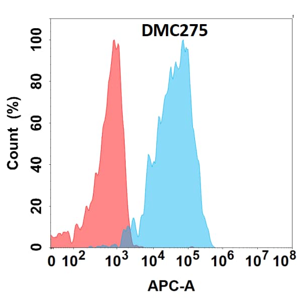 Flow cytometry analysis with Anti-Albumin (DMC275) on HEK293 cells transfected with human Albumin (Blue histogram) or HEK293 transfected with irrelevant protein (Red histogram).