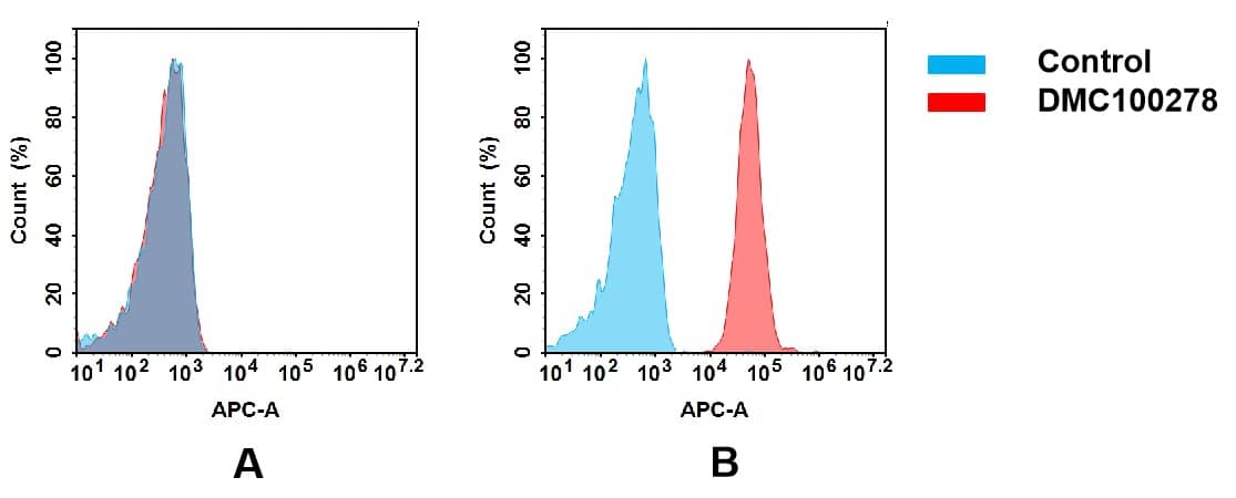 Flow cytometry analysis of antigen binding of anti-human JAM-A mAb(NBP3-48306). (A) NBP3-48306 does not bind to CHO-S cells that do not express JAM-A. (B) A clear peak shift of NBP3-48306 was seen compared to the control when incubated with JAM-A-expressing AGS cells, indicating strong binding of NBP3-48306 to JAM-A. Antibodies were incubated at 5 ug/mL.