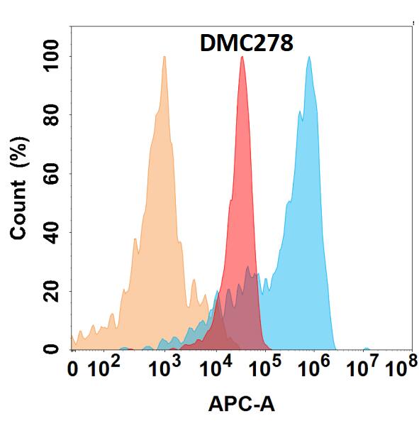 JAM-A protein is highly expressed on the surface of HEK293 cell membrane. Flow cytometry analysis with Anti-JAM-A (DMC278) on HEK293 cells transfected with human JAM-A (Blue histogram) or HEK293 transfected with irrelevant protein (Red histogram), and Isotype antibody on HEK293 transfected with irrelevant protein (Orange histogram).