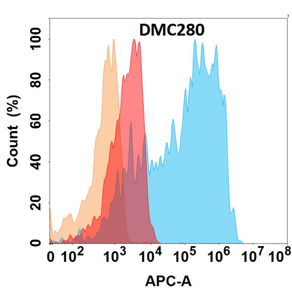Flow cytometry analysis with Anti-CD21 (DMC280) on HEK293 cells transfected with human CD21 (Blue histogram) or HEK293 transfected with irrelevant protein (Red histogram), and Isotype antibody on HEK293 transfected with irrelevant protein (Orange histogram).