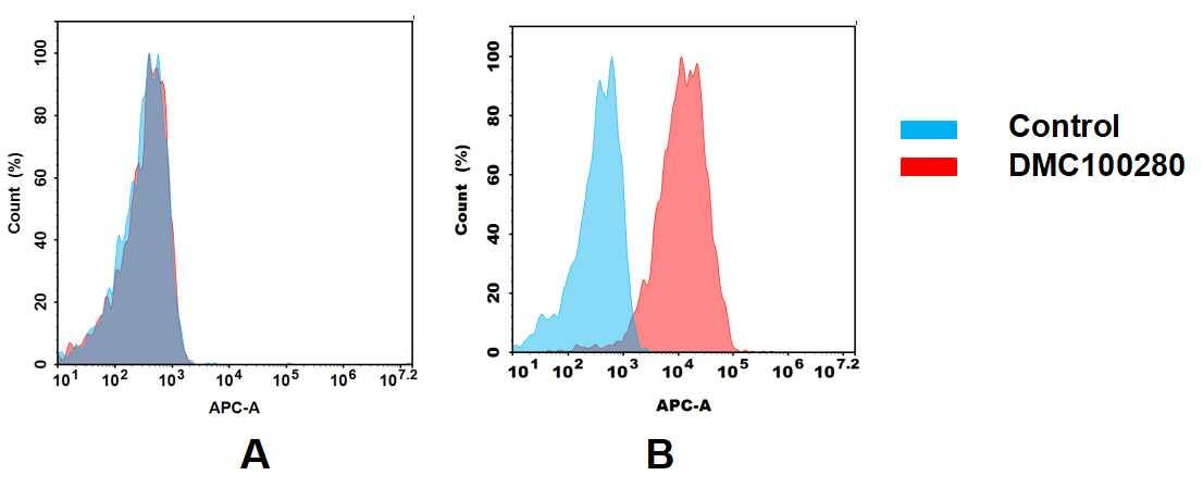 Flow cytometry analysis of antigen binding of anti-human CD21 mAb(NBP3-48307). (A) NBP3-48307 does not bind to Jurkat cells that do not express CD21. (B) A clear peak shift of NBP3-48307 was seen compared to the control when incubated with CD21-expressing Raji cells, indicating strong binding of NBP3-48307 to CD21. Antibodies were incubated at 10 ug/mL.