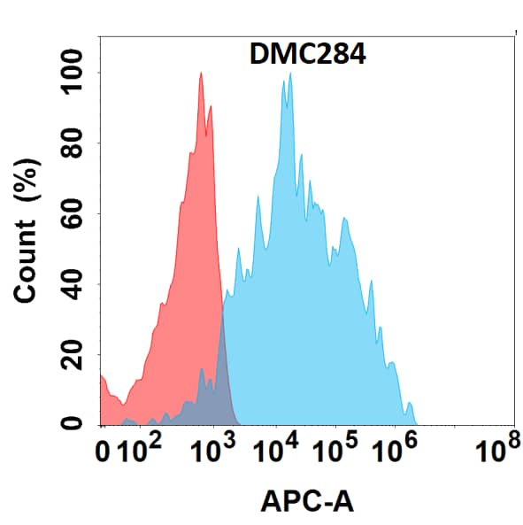 Flow cytometry analysis with Anti-IL-4R alpha (DMC284) on HEK293 cells transfected with human IL-4R alpha (Blue histogram) or HEK293 transfected with irrelevant protein (Red histogram).