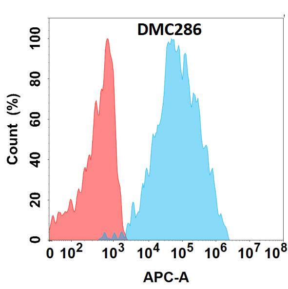 Flow cytometry analysis with Anti-CD84/CD84/SLAMF5 (DMC286) on HEK293 cells transfected with human CD84/CD84/SLAMF5 (Blue histogram) or HEK293 transfected with irrelevant protein (Red histogram).