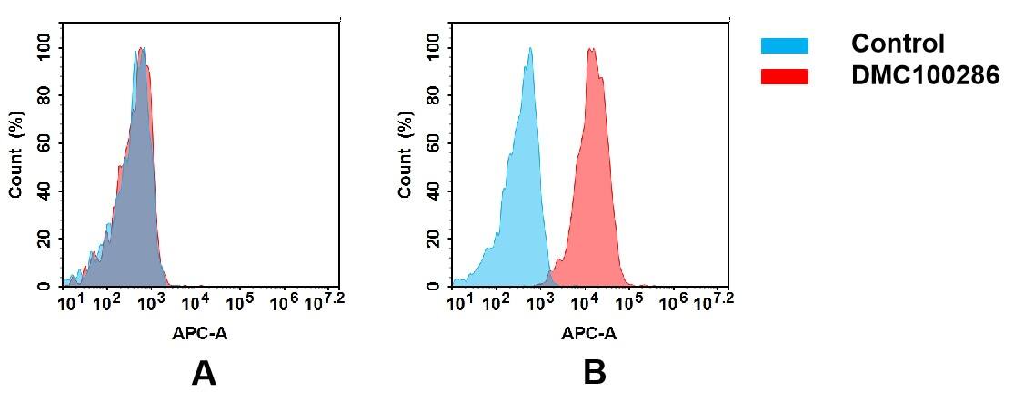 Flow cytometry analysis of antigen binding of anti-human SLAMF5 mAb(NBP3-48311). (A) NBP3-48311 does not bind to CHO-S cells that do not express SLAMF5. (B) A clear peak shift of NBP3-48311 was seen compared to the control when incubated with SLAMF5-expressing Raji cells, indicating strong binding of NBP3-48311 to SLAMF5. Antibodies were incubated at 5 ug/mL.