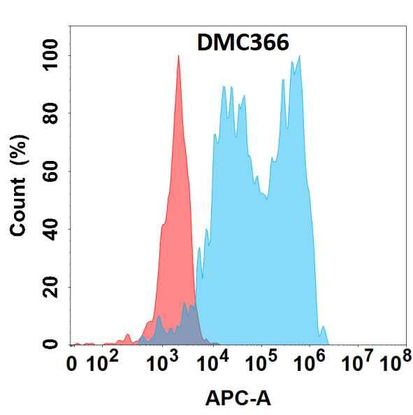 Flow cytometry analysis with Anti-Complement Factor B (DMC366) on HEK293 cells transfected with human Complement Factor B (Blue histogram) or HEK293 transfected with irrelevant protein (Red histogram).