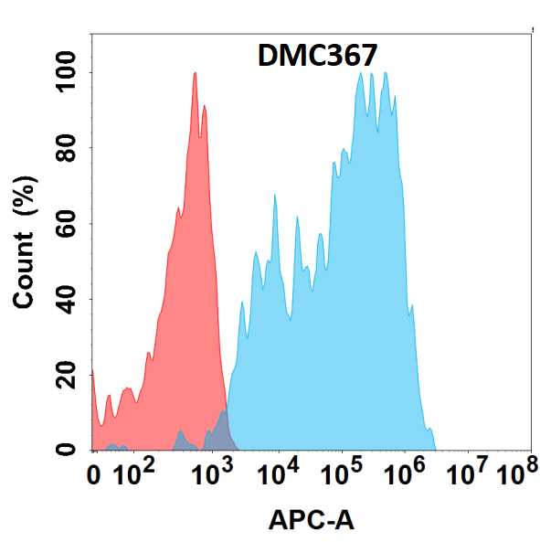 Flow cytometry analysis with Anti-ICAM-1/CD54 (DMC367) on HEK293 cells transfected with human ICAM-1/CD54 (Blue histogram) or HEK293 transfected with irrelevant protein (Red histogram).