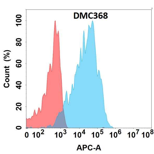 Flow cytometry analysis with Anti-GPR75 (DMC368) on HEK293 cells transfected with human GPR75 (Blue histogram) or HEK293 transfected with irrelevant protein (Red histogram).