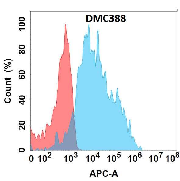 Flow cytometry analysis with Anti-EDA/Ectodysplasin/Ectodysplasin (DMC388) on HEK293 cells transfected with human EDA/Ectodysplasin/Ectodysplasin (Blue histogram) or HEK293 transfected with irrelevant protein (Red histogram).