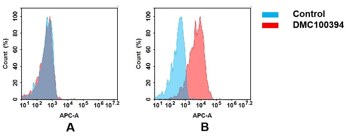 Flow cytometry analysis of antigen binding of anti-human CLEC2D mAb(NBP3-48321). (A) NBP3-48321 does not bind to CHO-S cells that do not express CLEC2D. (B) A clear peak shift of NBP3-48321 was seen compared to the control when incubated with CLEC2D-expressing Raji cells, indicating strong binding of NBP3-48321 to CLEC2D. Antibodies were incubated at 5 ug/mL.