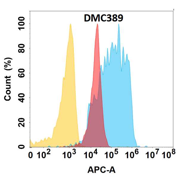Flow cytometry analysis with Anti-Von Willebrand Factor (DMC389) on HEK293 cells transfected with human Von Willebrand Factor (Blue histogram) or HEK293 transfected with irrelevant protein (Red histogram), and Isotype antibody on HEK293 transfected with irrelevant protein (Orange histogram).