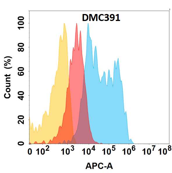 FOLR1 protein is highly expressed on the surface of HEK293 cell membrane. Flow cytometry analysis with Anti-FOLR1 (DMC391) on HEK293 cells transfected with human FOLR1 (Blue histogram) or HEK293 transfected with irrelevant protein (Red histogram), and Isotype antibody on HEK293 transfected with irrelevant protein (Orange histogram).