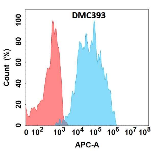 Flow cytometry analysis with Anti-IL-5R alpha/CD125 (DMC393) on HEK293 cells transfected with human IL-5R alpha/CD125 (Blue histogram) or HEK293 transfected with irrelevant protein (Red histogram).