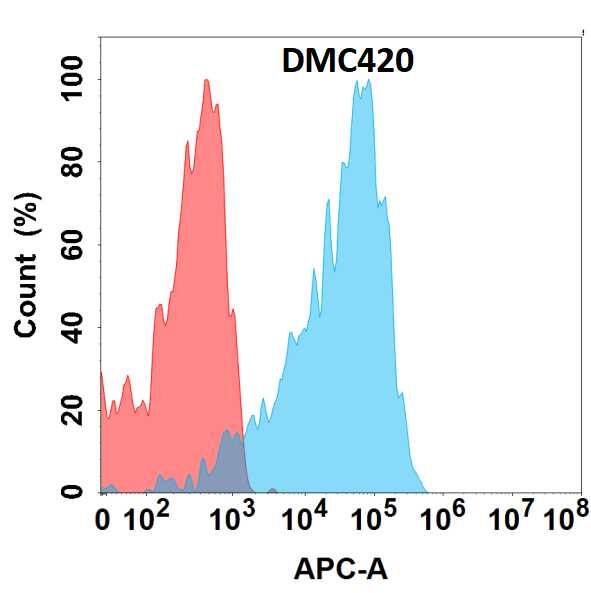 Flow cytometry analysis with Anti-PMEL17/SILV17/SILV (DMC420) on HEK293 cells transfected with human PMEL17/SILV17/SILV (Blue histogram) or HEK293 transfected with irrelevant protein (Red histogram).