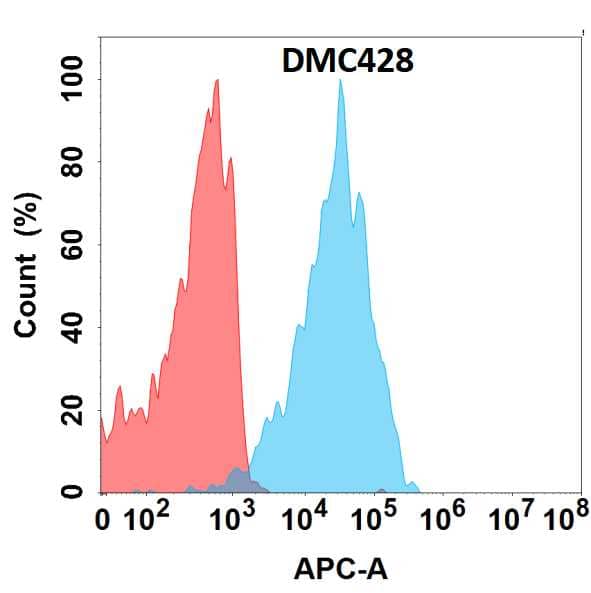 Flow cytometry analysis with Anti-Somatostatin R2/Somatostatin R2/SSTR2 (DMC428) on HEK293 cells transfected with human Somatostatin R2/Somatostatin R2/SSTR2 (Blue histogram) or HEK293 transfected with irrelevant protein (Red histogram).