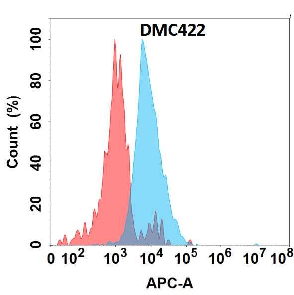 Flow cytometry analysis with Anti-IGFBP-rp1/IGFBP-7 (DMC422) on HEK293 cells transfected with human IGFBP-rp1/IGFBP-7 (Blue histogram) or HEK293 transfected with irrelevant protein (Red histogram).