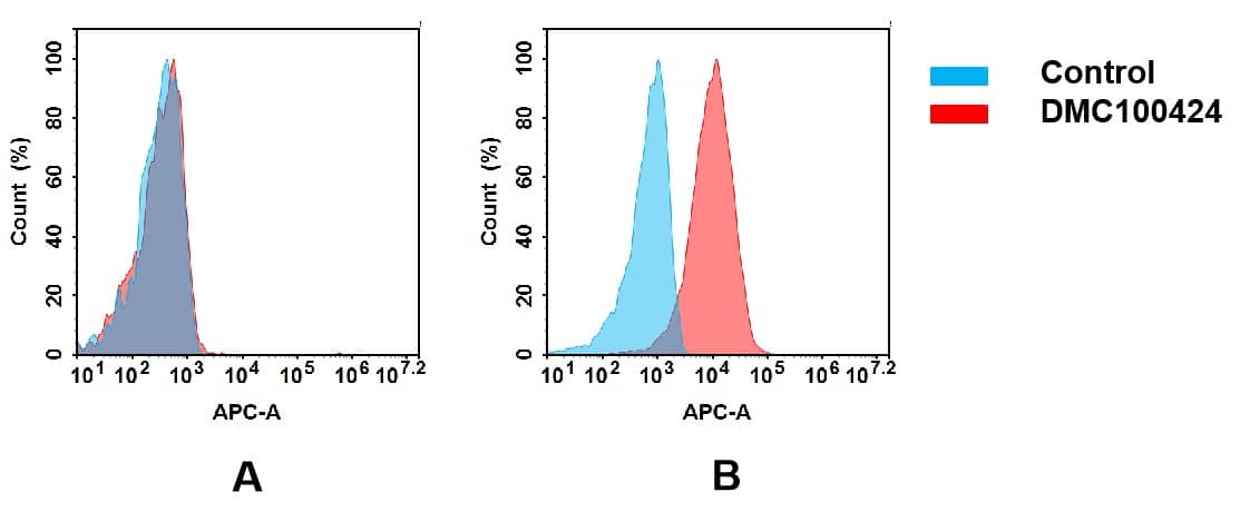 Flow cytometry analysis of antigen binding of anti-human EREG mAb(NBP3-48331). (A) NBP3-48331 does not bind to Jurkat cells that do not express EREG. (B) A clear peak shift of NBP3-48331 was seen compared to the control when incubated with EREG-expressing SiHa cells, indicating strong binding of NBP3-48331 to EREG. Antibodies were incubated at 5 ug/mL.