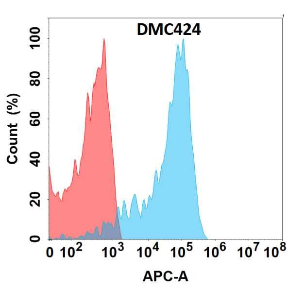 Flow cytometry analysis with Anti-Epiregulin (DMC424) on HEK293 cells transfected with human Epiregulin (Blue histogram) or HEK293 transfected with irrelevant protein (Red histogram).
