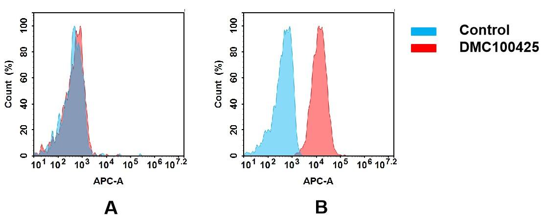 Flow cytometry analysis of antigen binding of anti-human CD63 mAb(NBP3-48332). (A) NBP3-48332 does not bind to CHO-S cells that do not express CD63. (B) A clear peak shift of NBP3-48332 was seen compared to the control when incubated with CD63-expressing THP-1 cells, indicating strong binding of NBP3-48332 to CD63. Antibodies were incubated at 5 ug/mL.