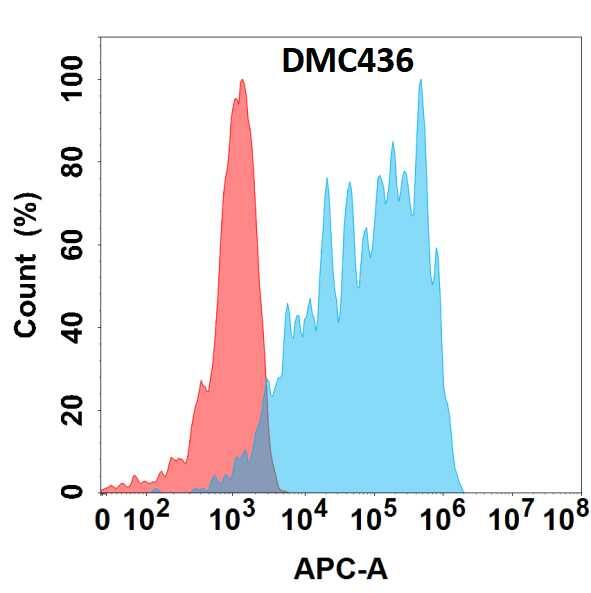 Flow cytometry analysis with Anti-CD83 (DMC436) on HEK293 cells transfected with human CD83 (Blue histogram) or HEK293 transfected with irrelevant protein (Red histogram).