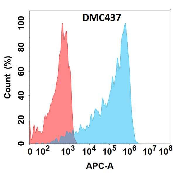 Flow cytometry analysis with Anti-M-CSF (DMC437) on HEK293 cells transfected with human M-CSF (Blue histogram) or HEK293 transfected with irrelevant protein (Red histogram).