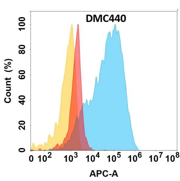 Flow cytometry analysis with Anti-u-Plasminogen Activator/Urokinase (DMC440) on HEK293 cells transfected with human u-Plasminogen Activator/Urokinase (Blue histogram) or HEK293 transfected with irrelevant protein (Red histogram), and Isotype antibody on HEK293 transfected with irrelevant protein (Orange histogram).