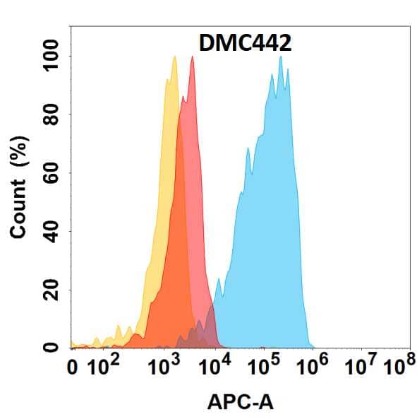 Flow cytometry analysis with Anti-Chondrolectin (DMC442) on HEK293 cells transfected with human Chondrolectin (Blue histogram) or HEK293 transfected with irrelevant protein (Red histogram), and Isotype antibody on HEK293 transfected with irrelevant protein (Orange histogram).