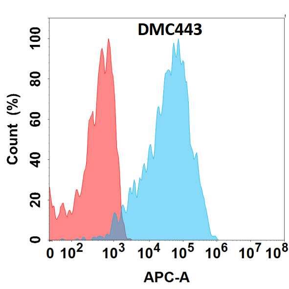 Flow cytometry analysis with Anti-CXCR7/RDC-1/RDC-1 (DMC443) on HEK293 cells transfected with human CXCR7/RDC-1/RDC-1 (Blue histogram) or HEK293 transfected with irrelevant protein (Red histogram).