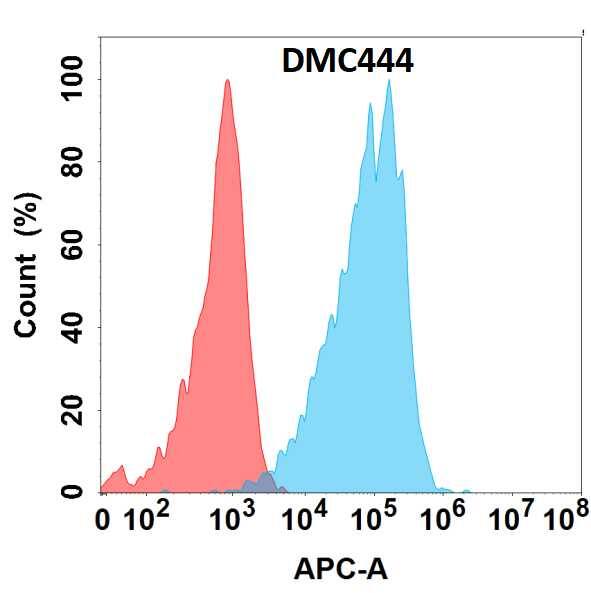 Flow cytometry analysis with Anti-Bone marrow stromal cell antigen 1/CD157 (DMC444) on HEK293 cells transfected with human Bone marrow stromal cell antigen 1/CD157 (Blue histogram) or HEK293 transfected with irrelevant protein (Red histogram).